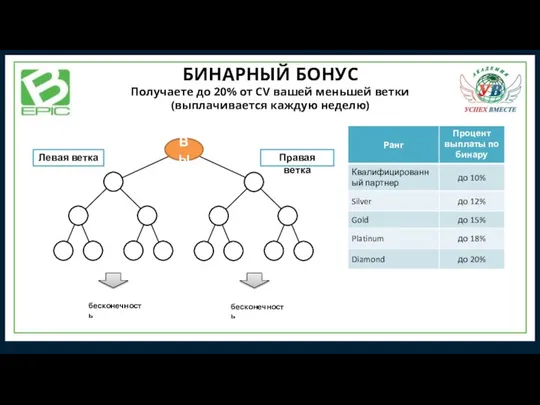 БИНАРНЫЙ БОНУС Получаете до 20% от CV вашей меньшей ветки (выплачивается каждую