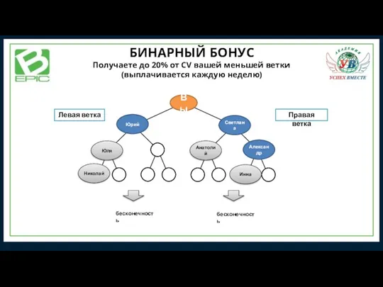 1 3 7 2 13 5 6 Вы Левая ветка Правая ветка