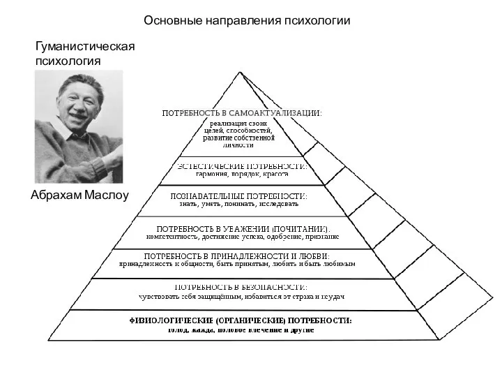 Основные направления психологии Гуманистическая психология Абрахам Маслоу