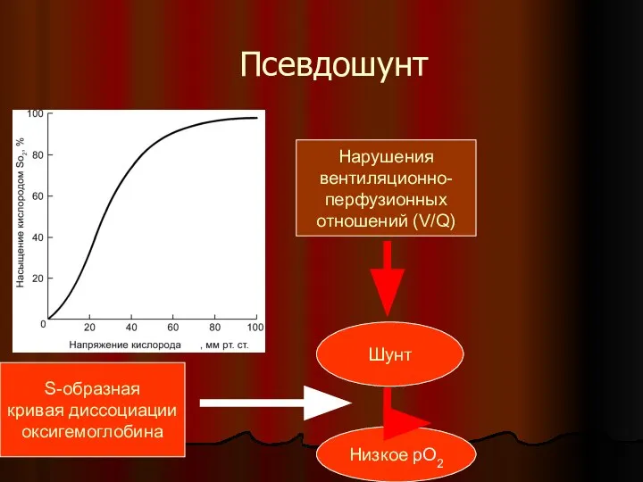 Псевдошунт Нарушения вентиляционно- перфузионных отношений (V/Q) S-образная кривая диссоциации оксигемоглобина Шунт Низкое рО2