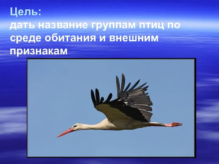 Цель: дать название группам птиц по среде обитания и внешним признакам