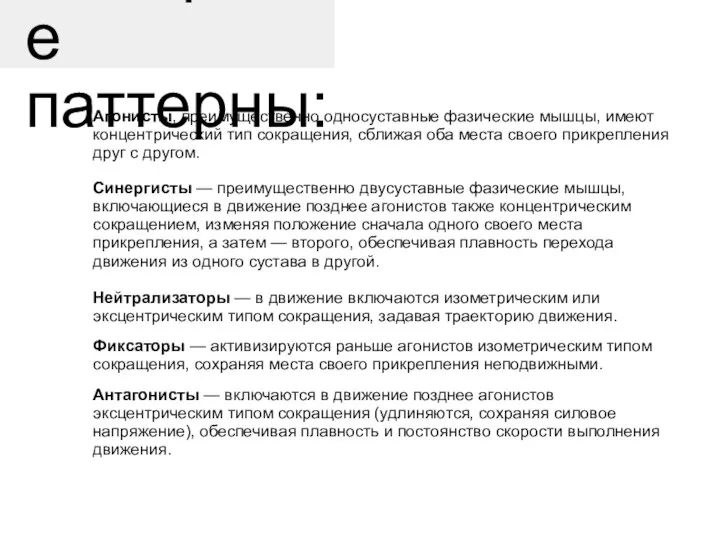 Моторные паттерны: Агонисты, преимущественно односуставные фазические мышцы, имеют концентрический тип сокращения, сближая