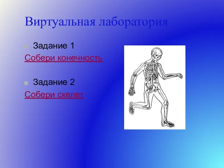 Виртуальная лаборатория Задание 1 Собери конечность Задание 2 Собери скелет