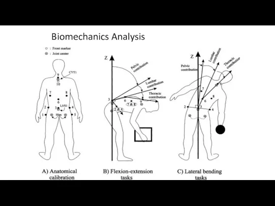 Biomechanics Analysis