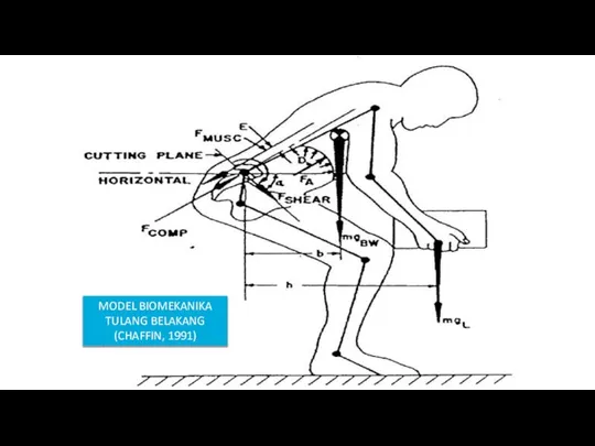 MODEL BIOMEKANIKA TULANG BELAKANG (CHAFFIN, 1991)