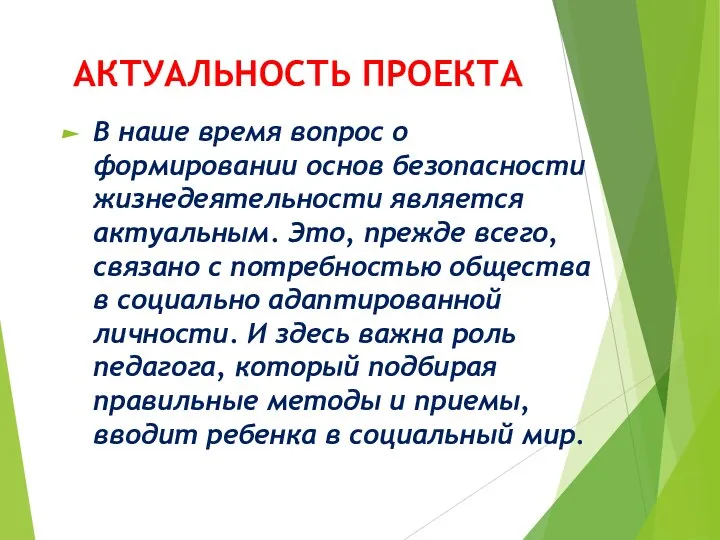 АКТУАЛЬНОСТЬ ПРОЕКТА В наше время вопрос о формировании основ безопасности жизнедеятельности является