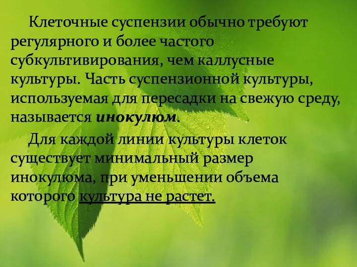 Клеточные суспензии обычно требуют регулярного и более частого субкультивирования, чем каллусные культуры.