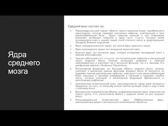 Ядра среднего мозга Средний мозг состоит из: Периакведуктальный серый: область серого вещества