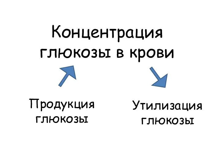 Концентрация глюкозы в крови Продукция глюкозы Утилизация глюкозы