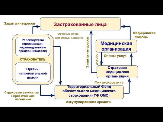 Застрахованные лица СТРАХОВАТЕЛЬ Работодатели (организации, индивидуальные предприниматели) Органы исполнительной власти Территориальный Фонд