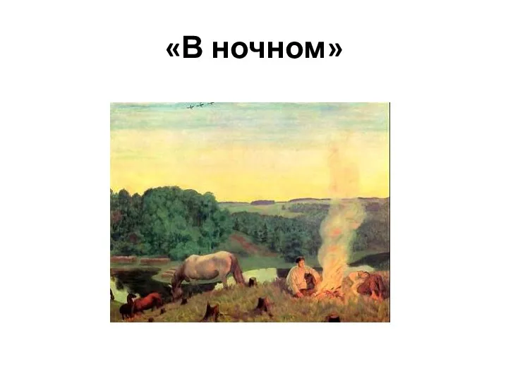 «В ночном»