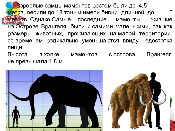 Взрослые самцы мамонтов ростом были до 4,5 метра, весили до 18 тонн