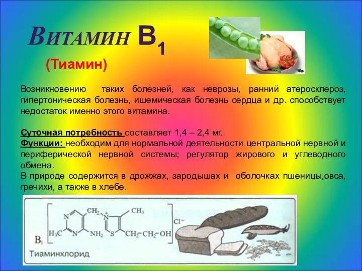 Витамин В1 (Тиамин) Возникновению таких болезней, как неврозы, ранний атеросклероз, гипертоническая болезнь,