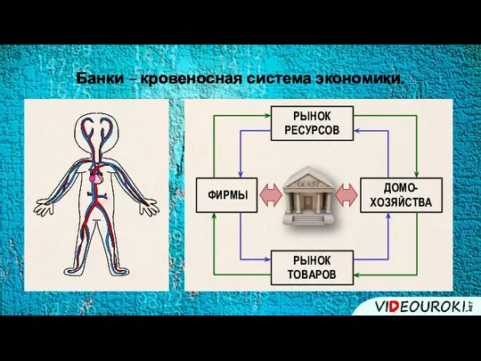 Банки – кровеносная система экономики.