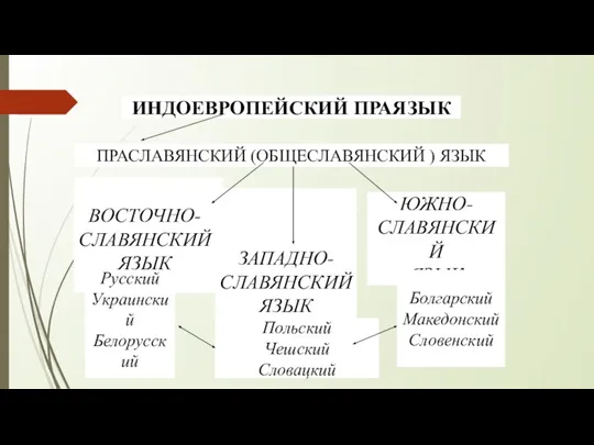 ИНДОЕВРОПЕЙСКИЙ ПРАЯЗЫК ПРАСЛАВЯНСКИЙ (ОБЩЕСЛАВЯНСКИЙ ) ЯЗЫК ВОСТОЧНО- СЛАВЯНСКИЙ ЯЗЫК ЗАПАДНО- СЛАВЯНСКИЙ ЯЗЫК