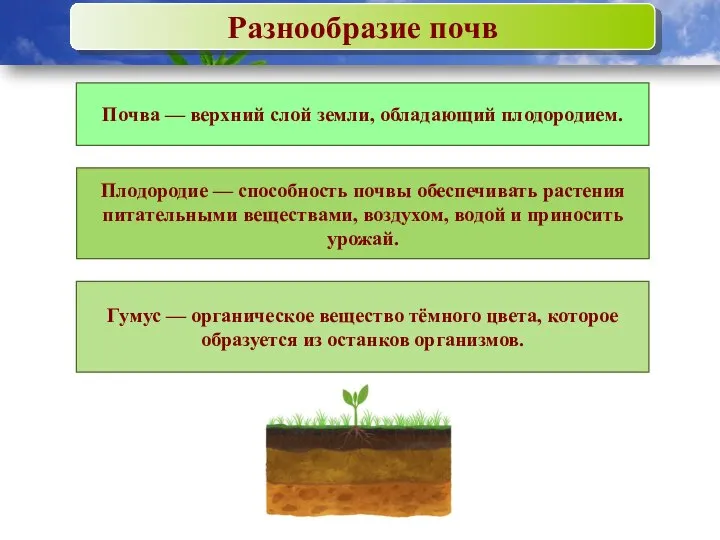 Разнообразие почв Почва — верхний слой земли, обладающий плодородием. Плодородие — способность