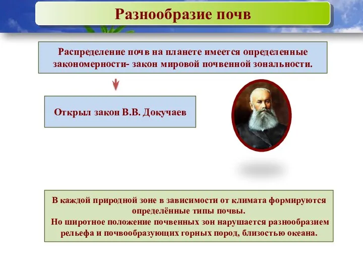 Разнообразие почв Распределение почв на планете имеется определенные закономерности- закон мировой почвенной