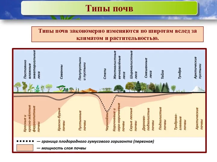 Типы почв Типы почв закономерно изменяются по широтам вслед за климатом и растительностью.