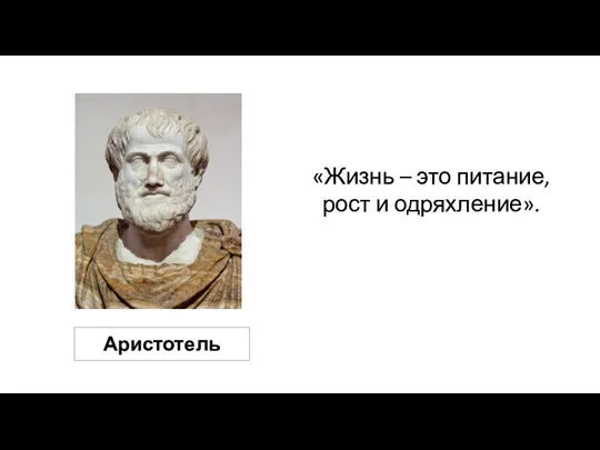 «Жизнь – это питание, рост и одряхление». Аристотель