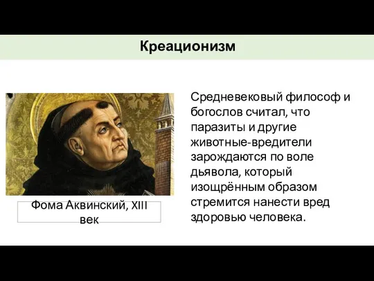 Средневековый философ и богослов считал, что паразиты и другие животные-вредители зарождаются по