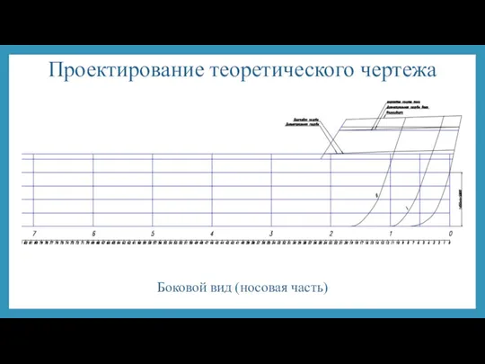 Проектирование теоретического чертежа Боковой вид (носовая часть)