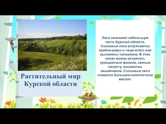 Растительный мир Курской области Леса занимают небольшую часть Курской области. Сосновые леса