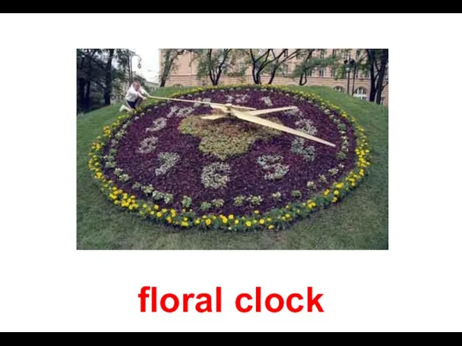 floral clock