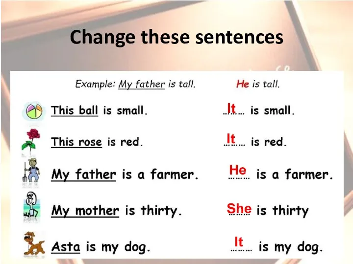 Change these sentences It It He She It