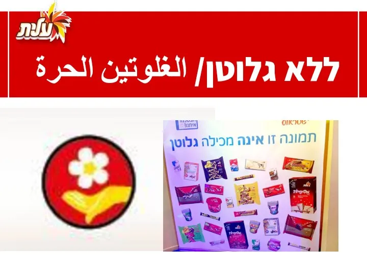 ללא גלוטן/ الغلوتين الحرة