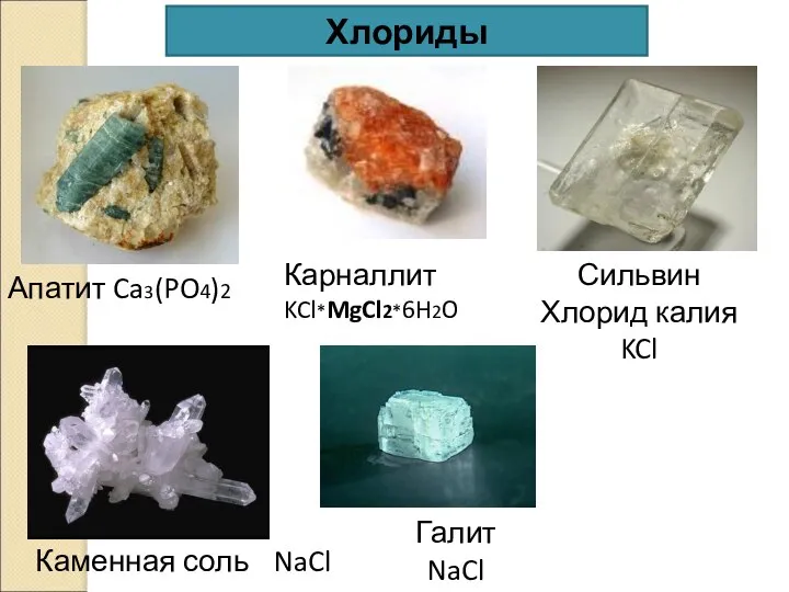 Хлориды Каменная соль NaCl Карналлит KCl*MgCl2*6H2O Апатит Ca3(PO4)2 Сильвин Хлорид калия KCl Галит NaCl