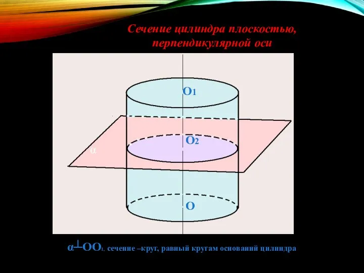 α┴OO1, сечение –круг, равный кругам оснований цилиндра Сечение цилиндра плоскостью, перпендикулярной оси O O1 O2 α