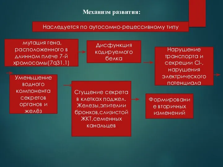 Механизм развития: Наследуется по аутосомно-рецессивному типу мутация гена, расположенного в длинном плече