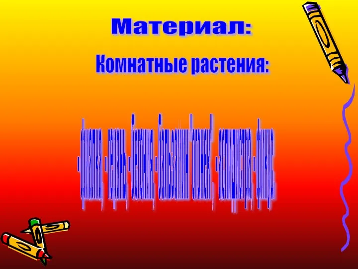 Материал: Комнатные растения: - фиалка, - герань, - бегония, - бальзамин "огонек", - аспидистра, - фикус.