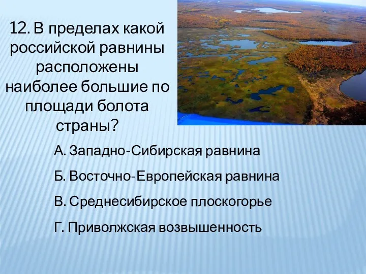 12. В пределах какой российской равнины расположены наиболее большие по площади болота