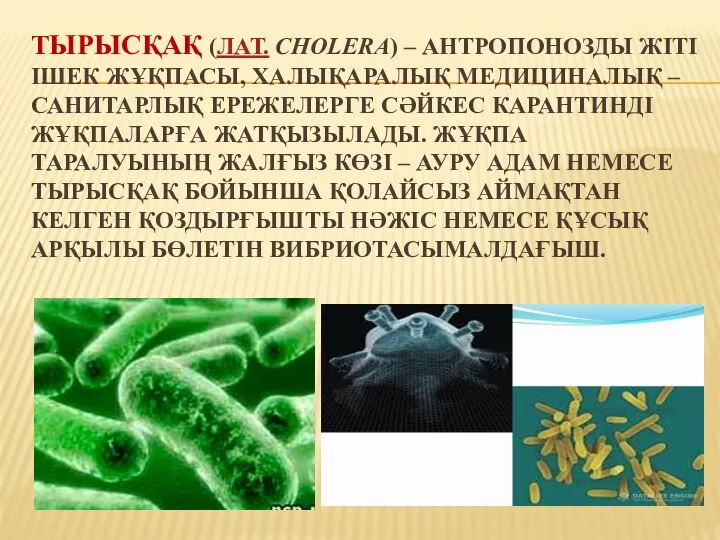 ТЫРЫСҚАҚ (ЛАТ. CHOLERA) – АНТРОПОНОЗДЫ ЖІТІ ІШЕК ЖҰҚПАСЫ, ХАЛЫҚАРАЛЫҚ МЕДИЦИНАЛЫҚ – САНИТАРЛЫҚ