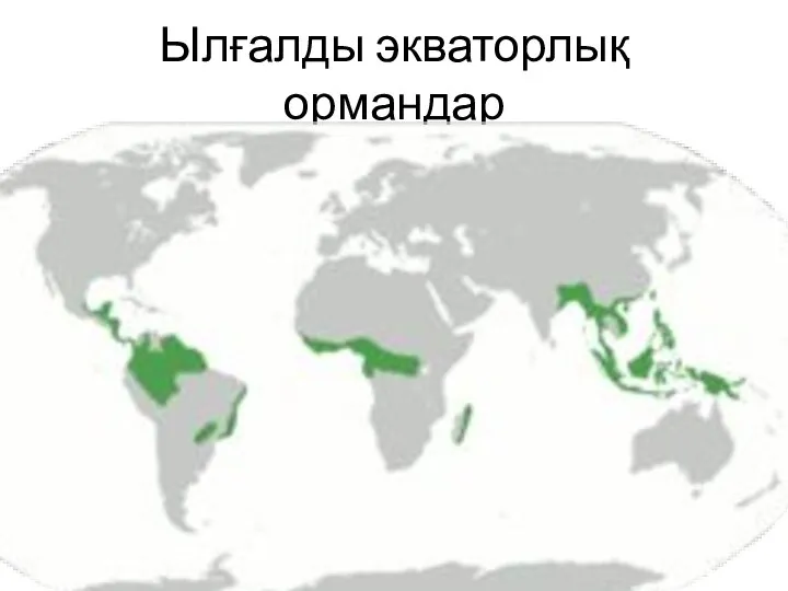 Ылғалды экваторлық ормандар