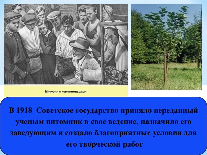 В 1918 Советское государство приняло переданный ученым питомник в свое ведение, назначило