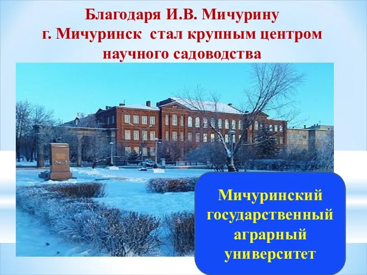 Мичуринский государственный аграрный университет Благодаря И.В. Мичурину г. Мичуринск стал крупным центром научного садоводства