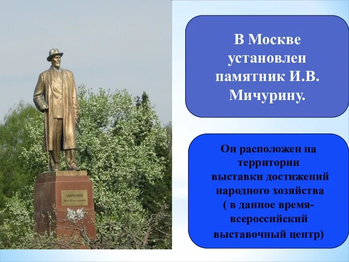В Москве установлен памятник И.В. Мичурину. Он расположен на территории выставки достижений