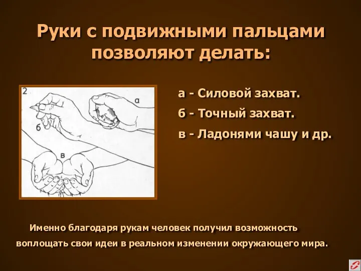 Руки с подвижными пальцами позволяют делать: а - Силовой захват. б -