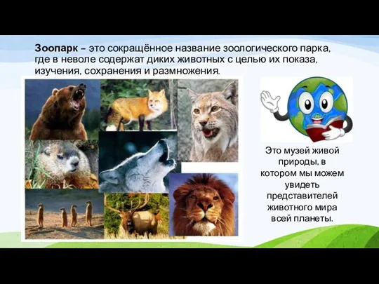 Зоопарк – это сокращённое название зоологического парка, где в неволе содержат диких