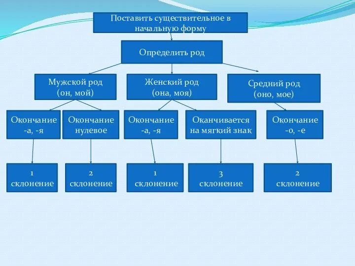 Поставить существительное в начальную форму Определить род Мужской род (он, мой) Женский