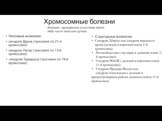 Хромосомные болезни Числовые аномалии: синдром Дауна (трисомия по 21-й хромосоме) синдром Патау