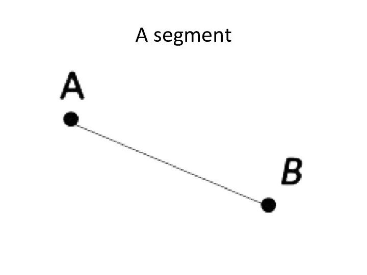 A segment