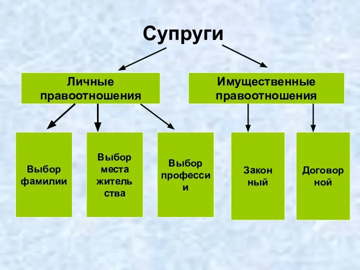 Супруги Личные правоотношения Имущественные правоотношения Выбор фамилии Выбор места житель ства Выбор