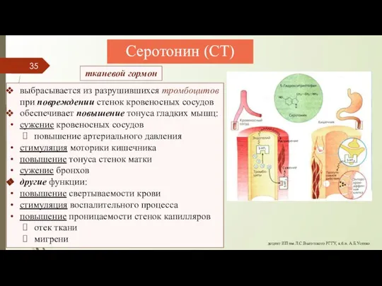 Серотонин (СТ) доцент ИП им.Л.С.Выготского РГГУ, к.б.н. А.Б.Усенко тканевой гормон выбрасывается из