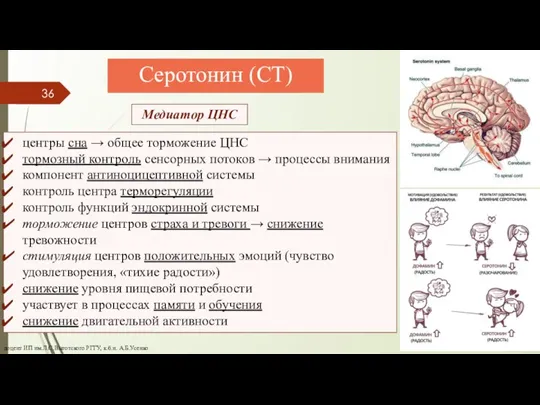 Серотонин (СТ) доцент ИП им.Л.С.Выготского РГГУ, к.б.н. А.Б.Усенко Медиатор ЦНС центры сна