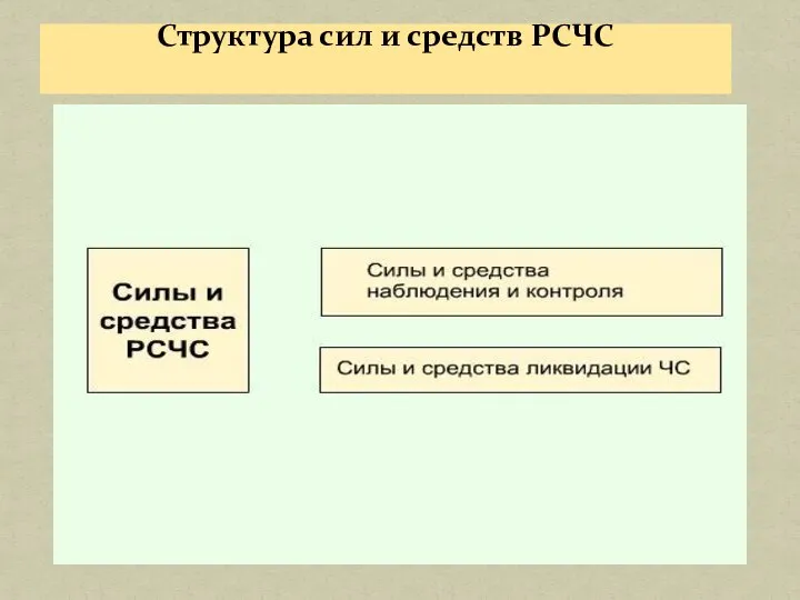 Структура сил и средств РСЧС