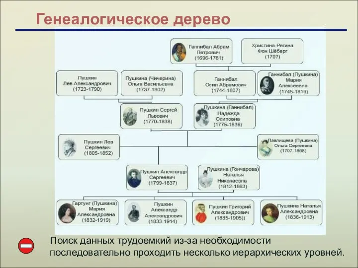 Генеалогическое дерево Поиск данных трудоемкий из-за необходимости последовательно проходить несколько иерархических уровней.