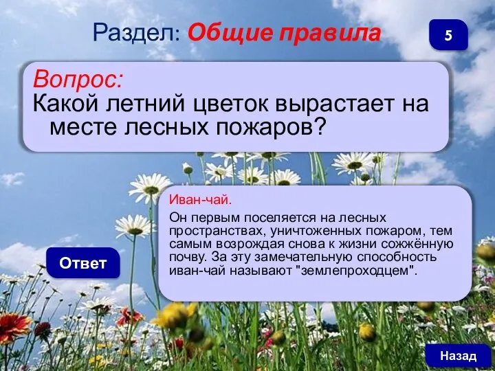 Вопрос: Какой летний цветок вырастает на месте лесных пожаров? Ответ Назад 5